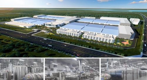 濟寧市2023年下半年綠色低碳高質(zhì)量發(fā)展現(xiàn)場觀摩會 無窮食品泗水生產(chǎn)基地建設(shè)項目